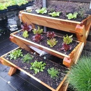 Meet your Posher, Claudia